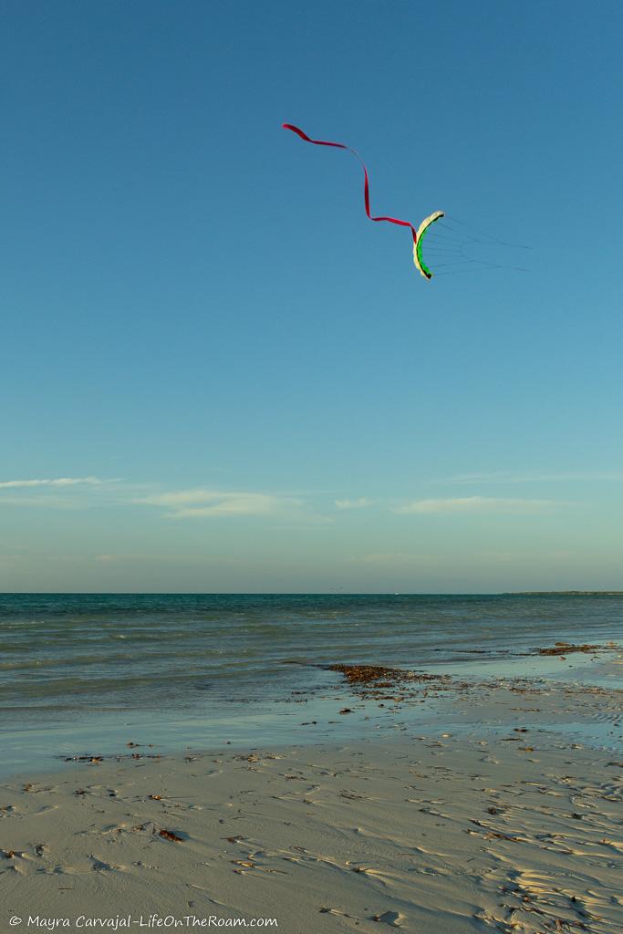 A kite flying over a beach