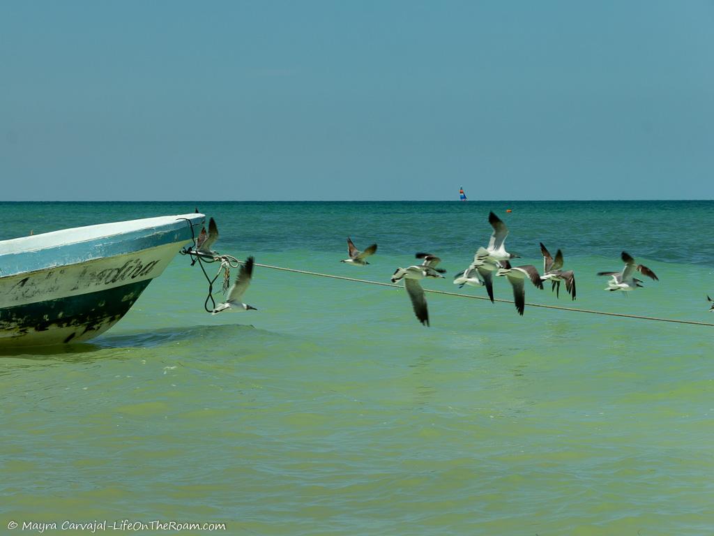 A small boat on a beach with birds taking off