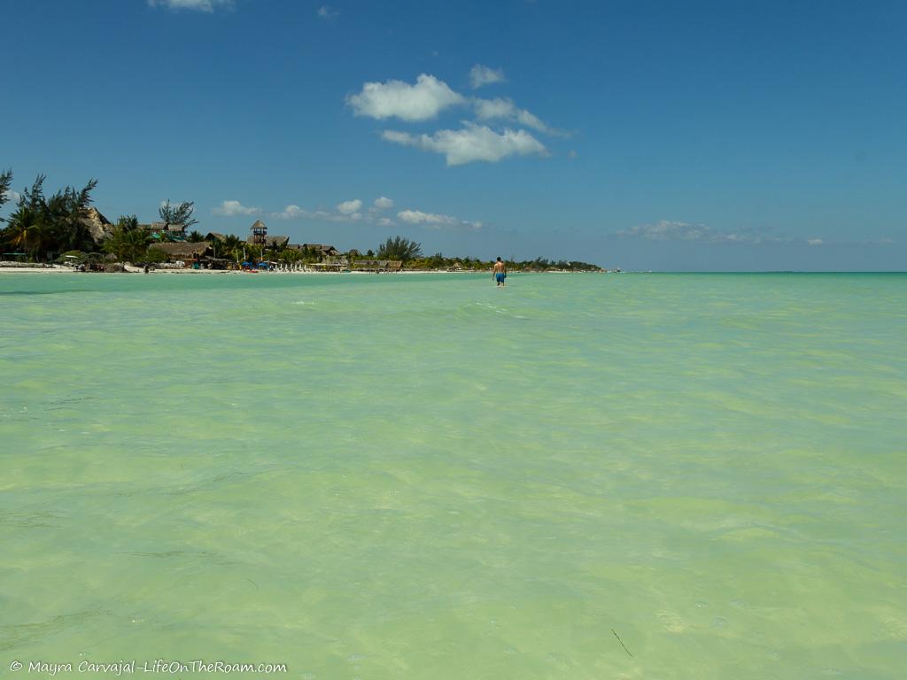 View of a shore from a sandbank in the sea