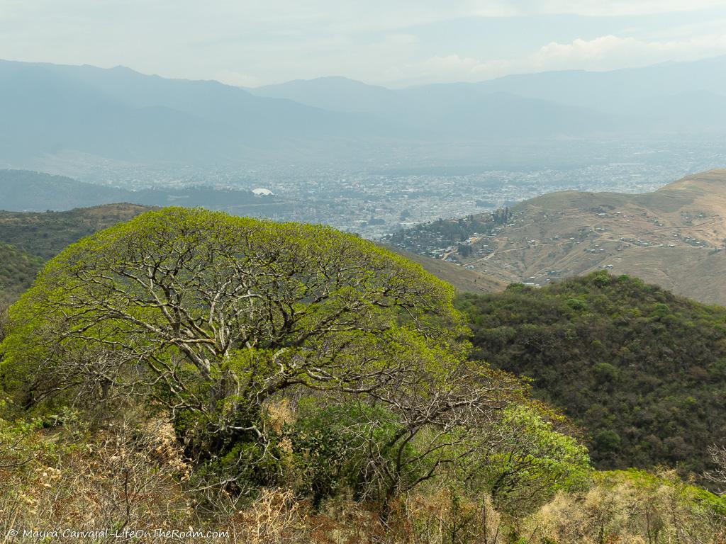 View of mountains and a distant town