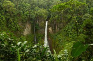 A waterfall in a jungle