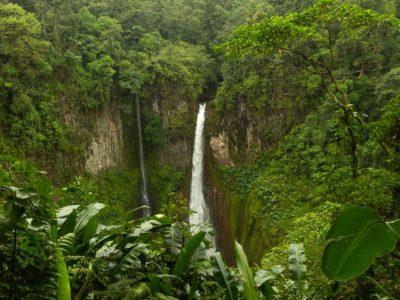 A waterfall in a jungle