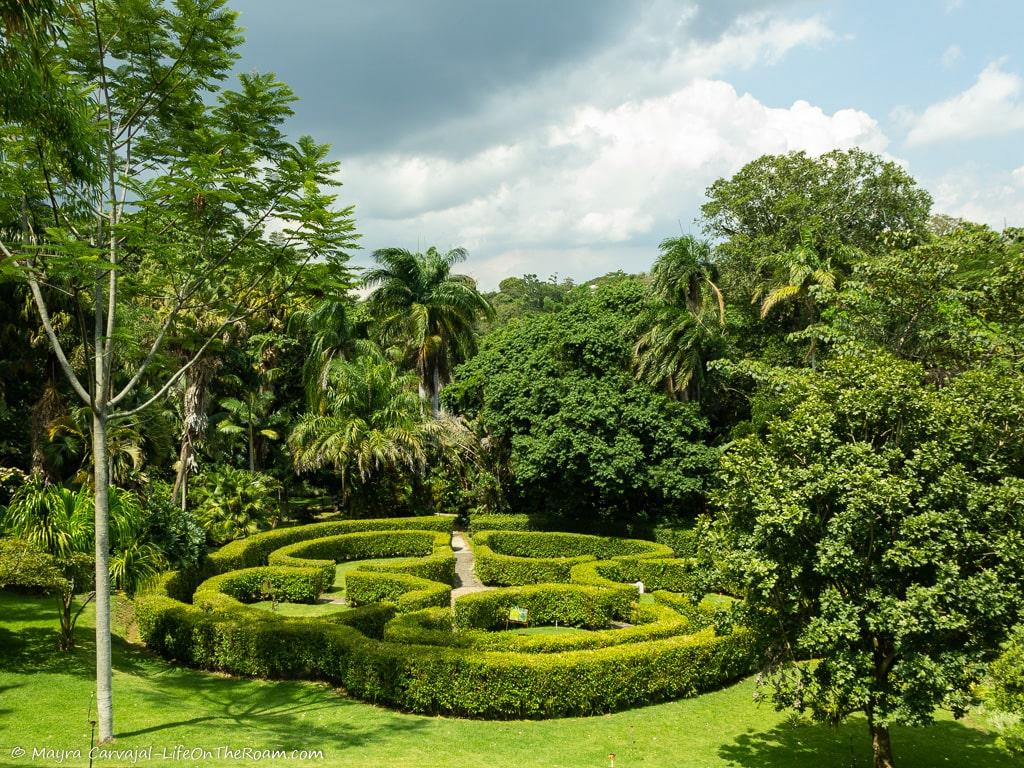 A labyrinth made of hedges in a garden