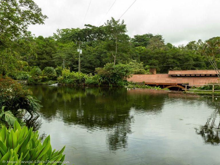 8 Things to Do in Grecia a Hidden Gem in the Central Valley of Costa Rica