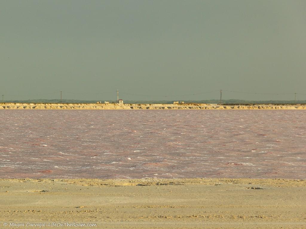 A man-made pond with pink water