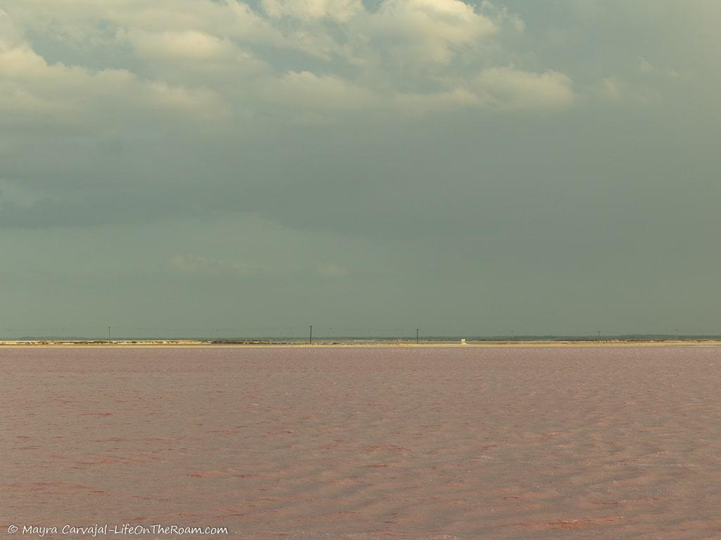 A pink lake