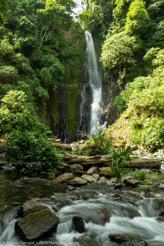 A tall waterfall in a jungle