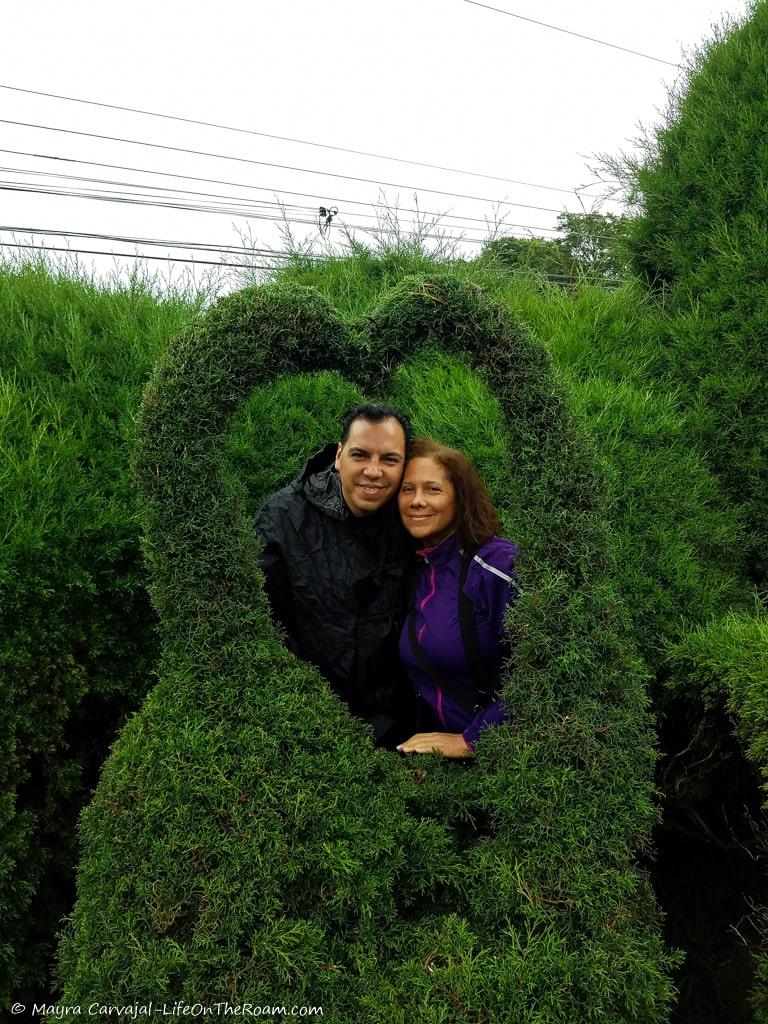 A couple behind a shrub shaped as a heart