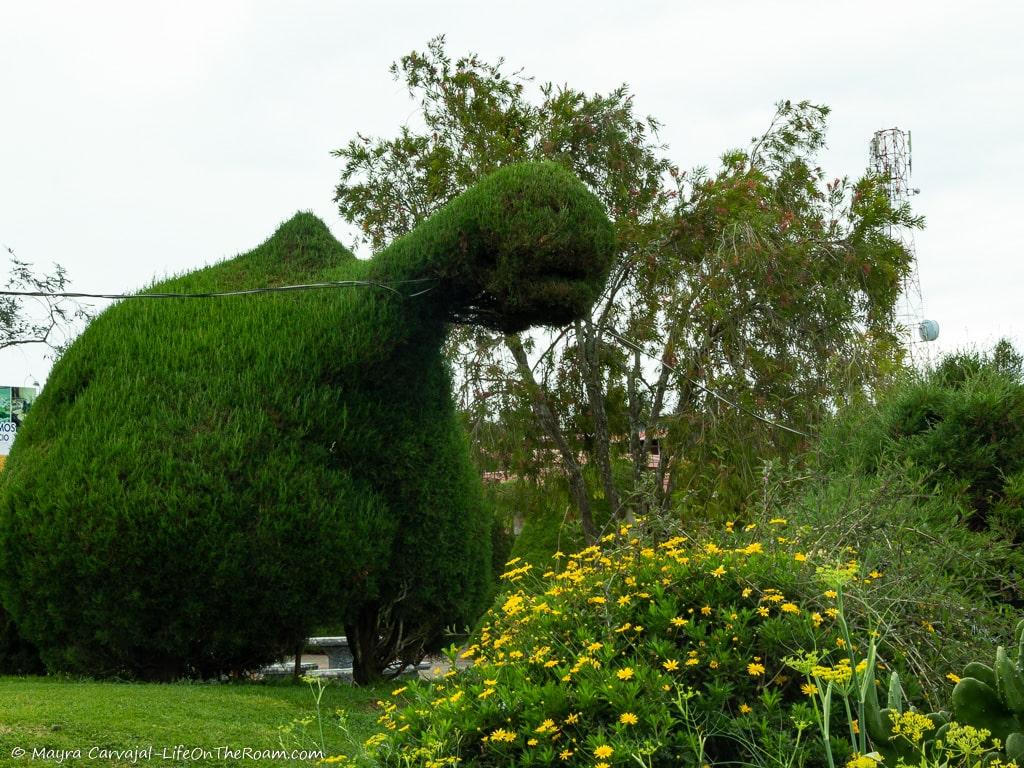 A topiary in the shape of a dinosaur in a garden