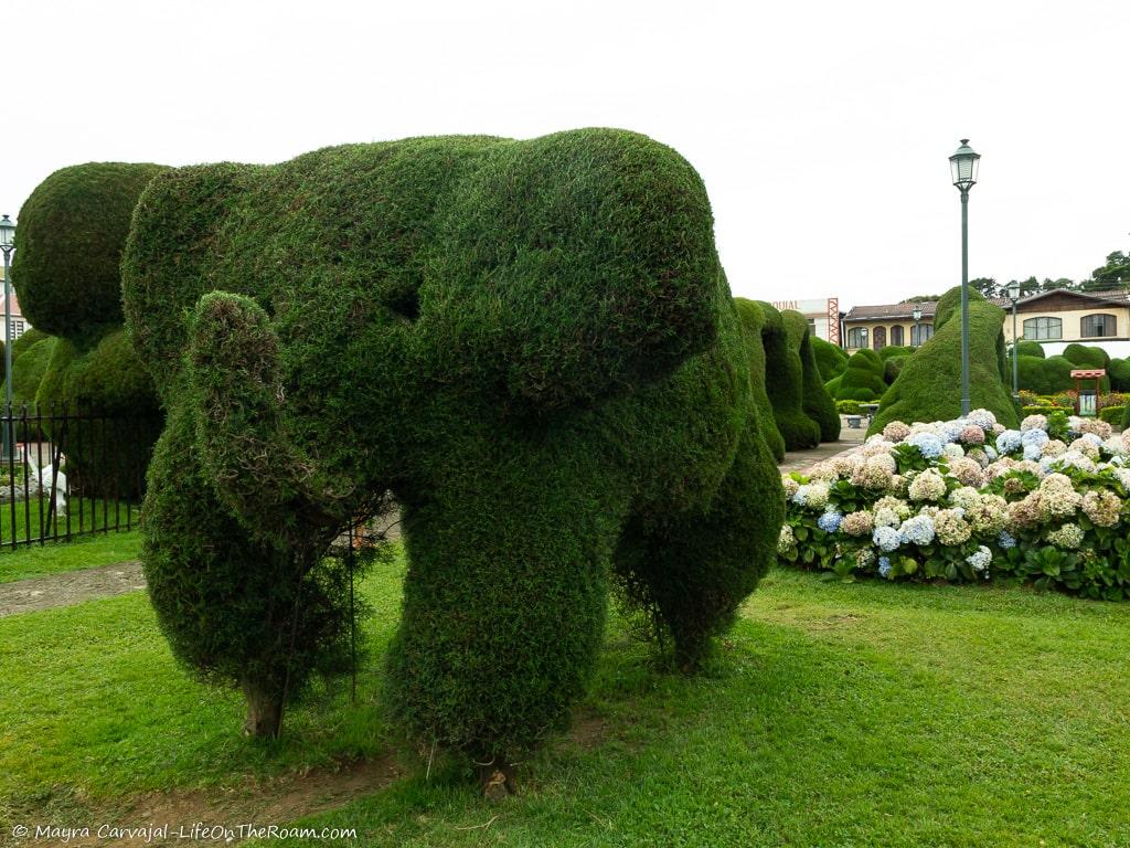 A shrub shaped like an elephant