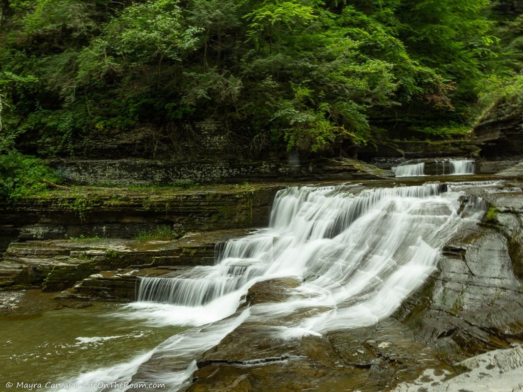 A waterfall in a dense forest