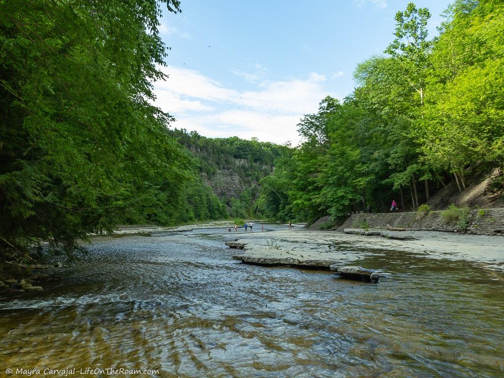 A creek running through a gorge