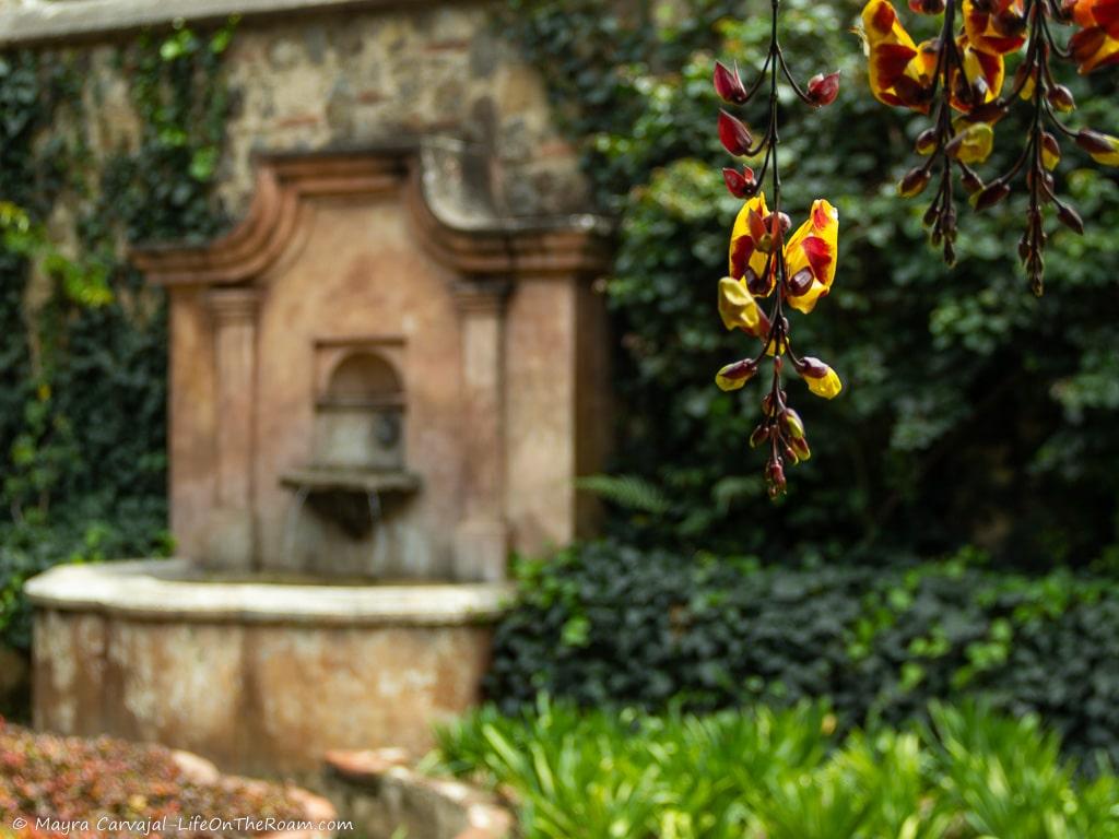 A garden with a fountain