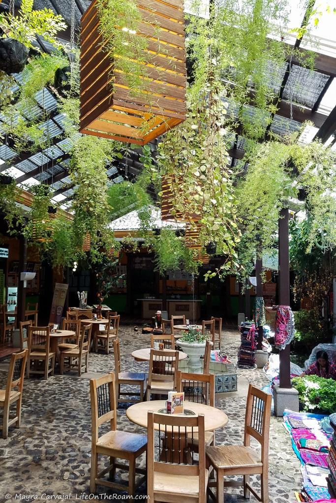 A cafe setting with plants hanging from the ceiling and colourful textiles on one side