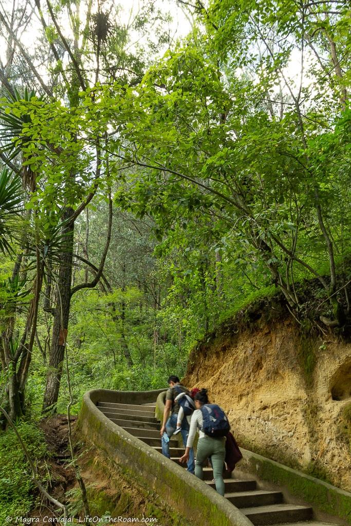 People going up stairs built on a hill with trees