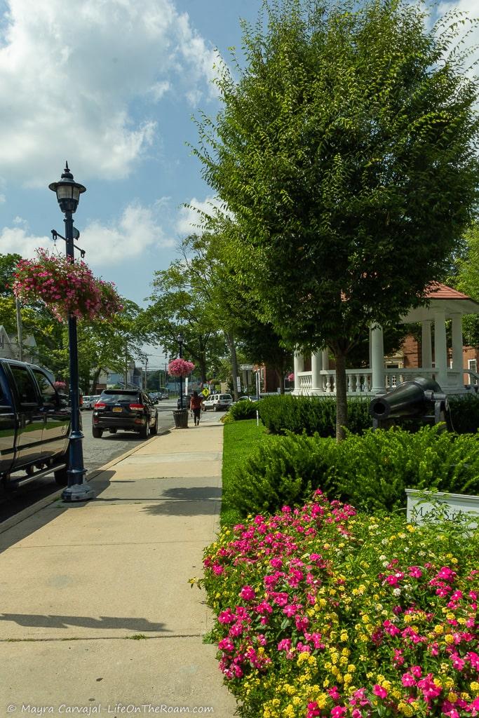 A landscaped street