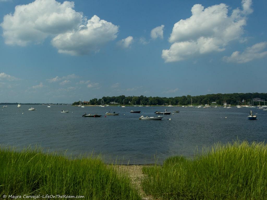 A beach with boats