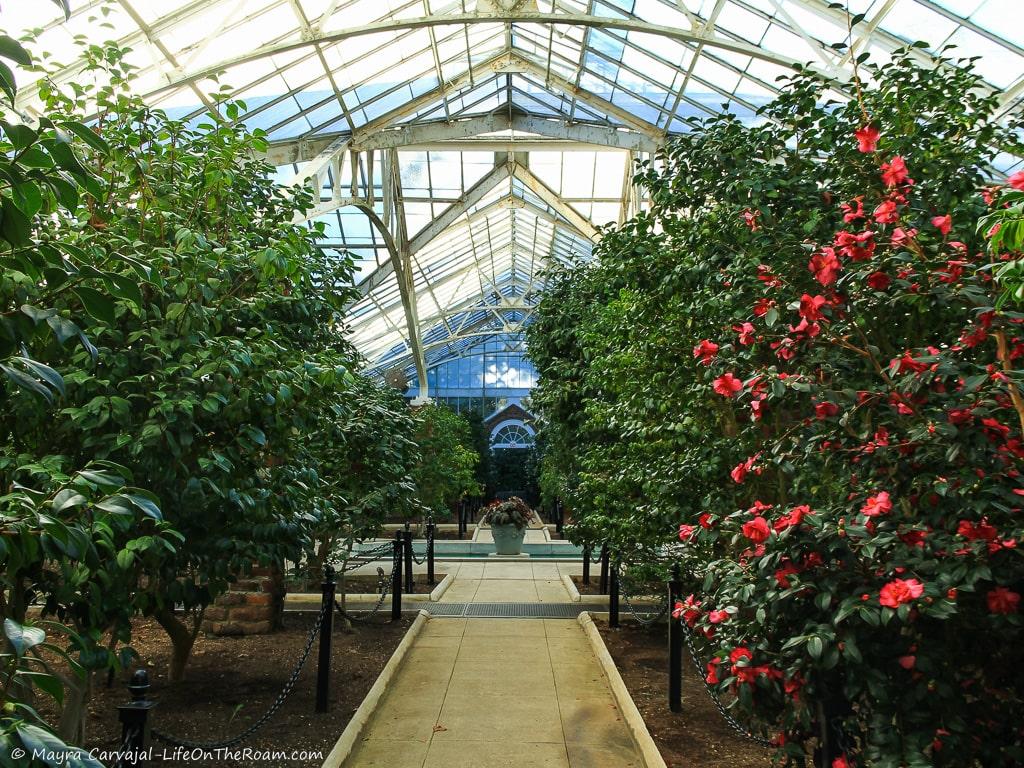 A greenhouse with a fountain in a far wall