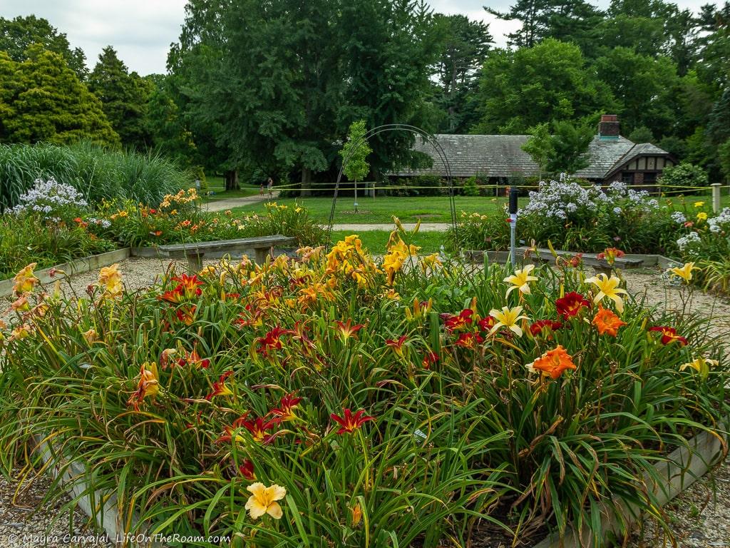 A garden with a flower bed in the foreground