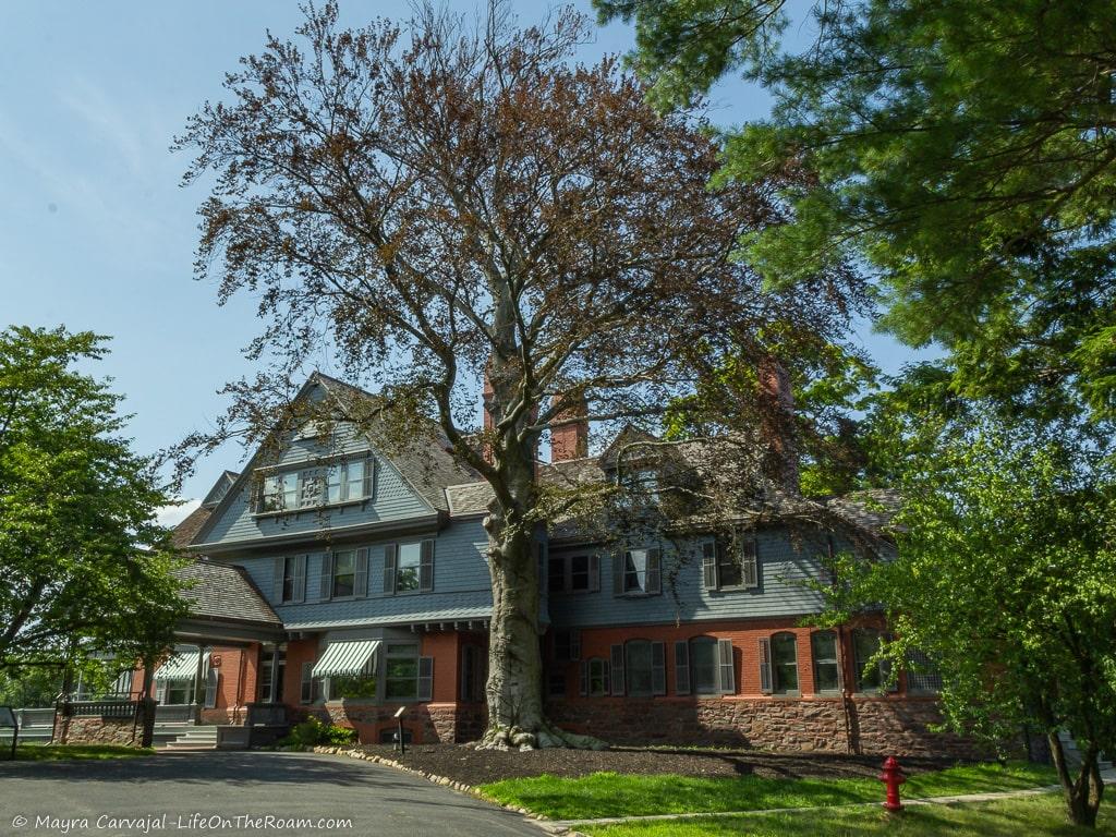 A big house in Queen-Anne style with trees in a garden