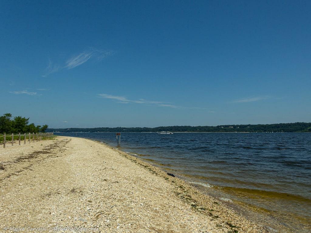 A beach with shells