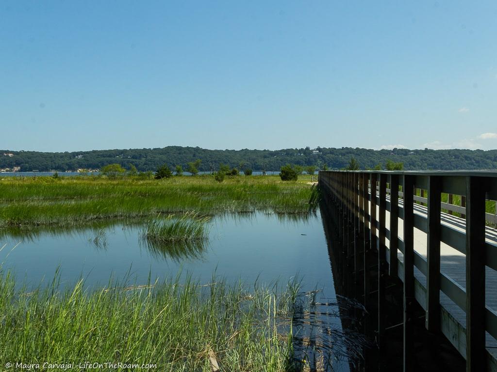 A boardwalk over a marsh