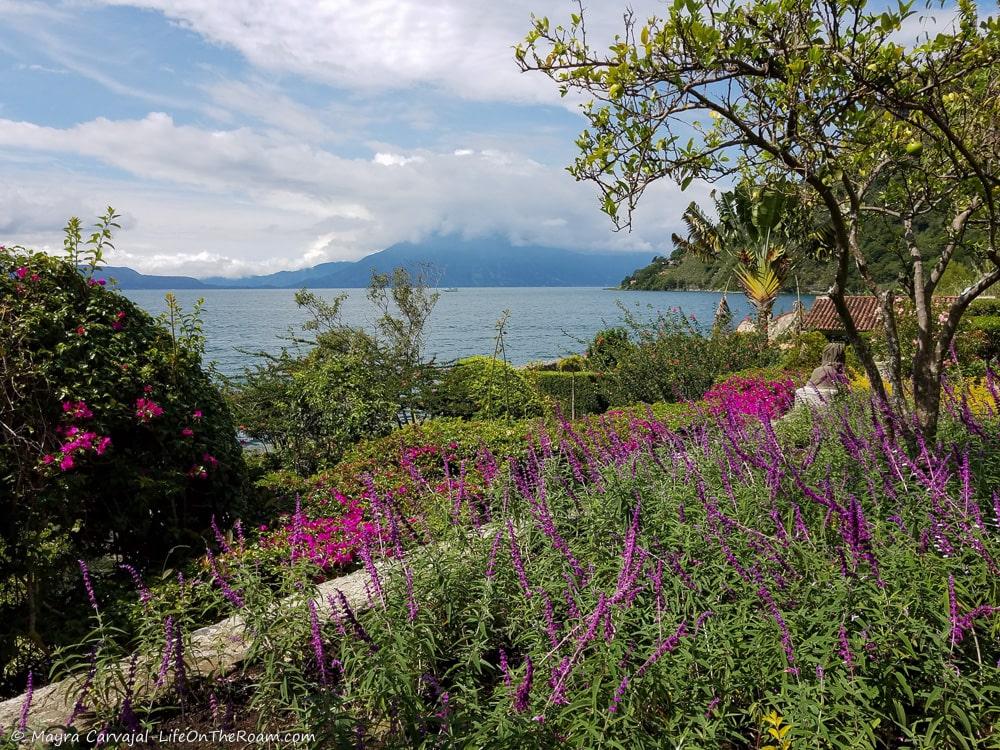 Gardens with a view of a lake and volcanoes