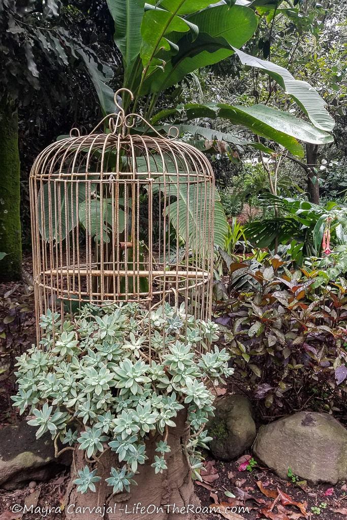 A garden with a decorative bird cage
