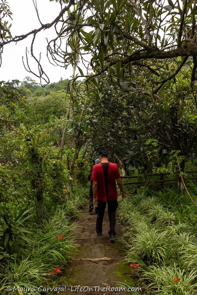 A man walking on a trail