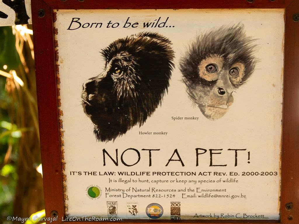 A sing with the illustration of two monkeys with the text "Born to be wild...NOT A PET!"