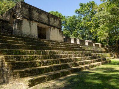 An ancient low building with wide stairs in a jungle set