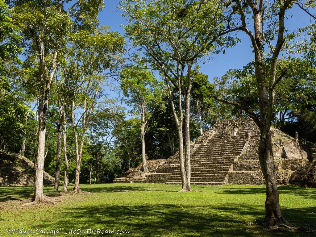 A pyramid with trees around