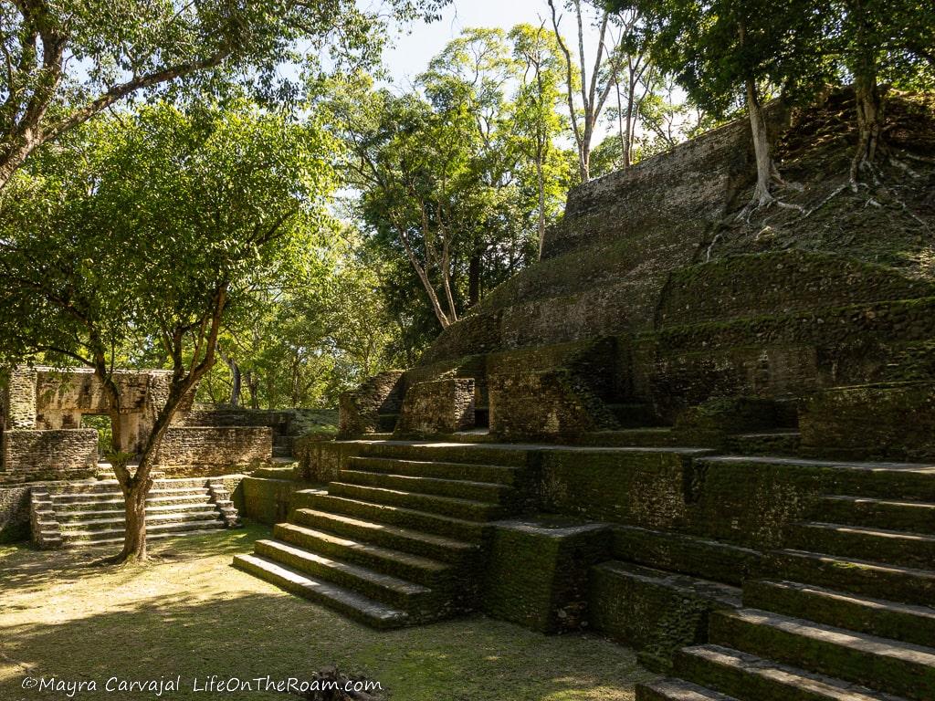 A pyramid with several stairs with trees growing from the top.