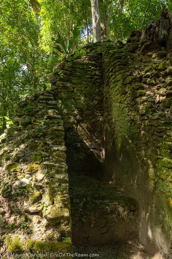 The remains of a staircase in an ancient building in a jungle