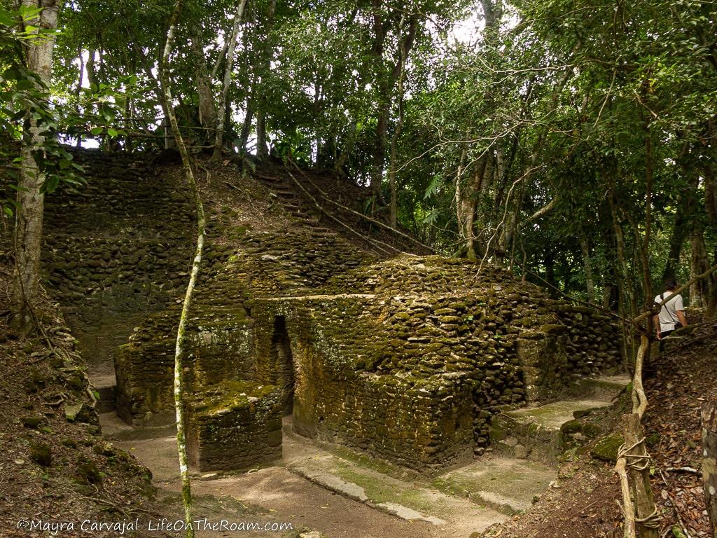 An ancient building with arched doorways in the jungle