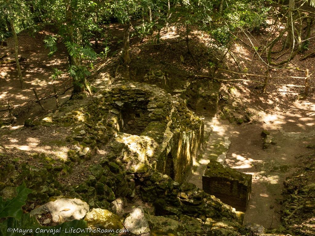 A semi-excavated archaeological site in the jungle