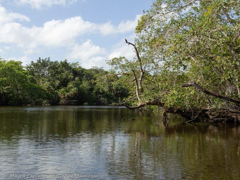 The 5 Best Mayan Ruins You Shouldn't Miss in Belize