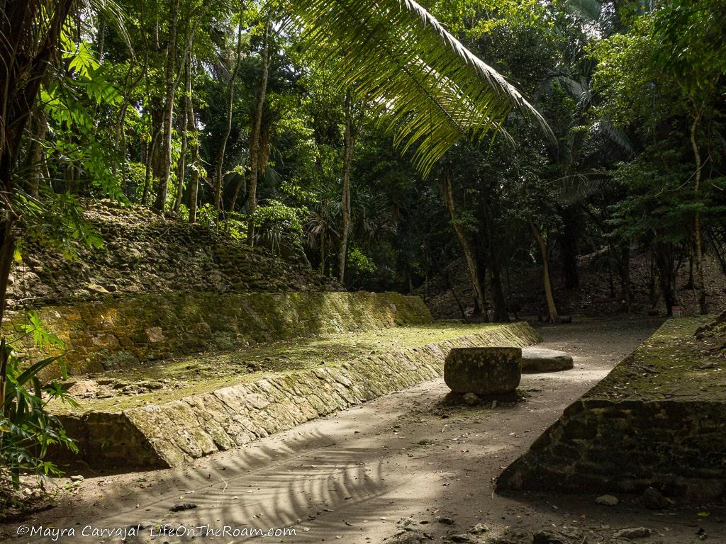 An ancient ball court surrounded by trees