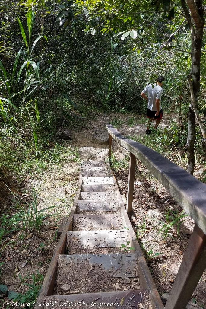 A man descending on a set of narrow and steep stairs in a forest