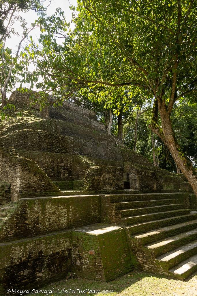 The ruins of an ancient temple in the rainforest