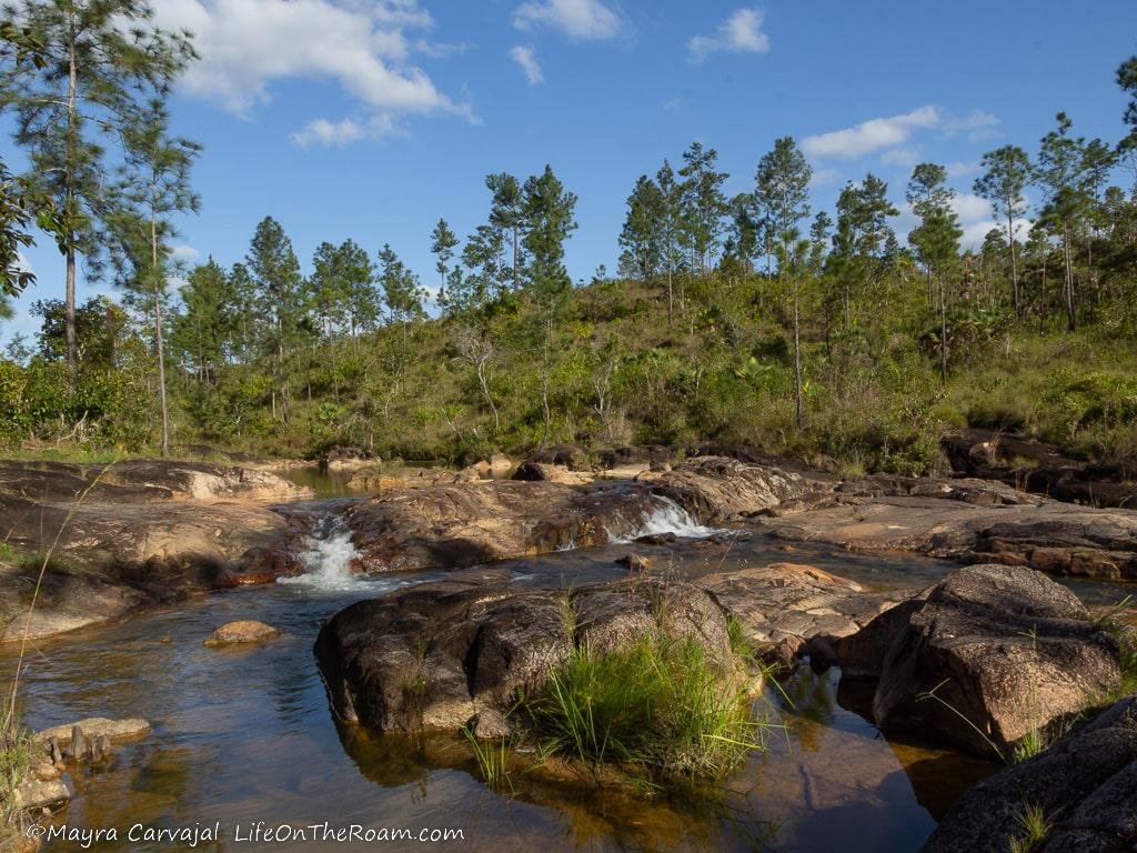 Small cascades with flower flowing over boulders landing in a pool with sandy bottom