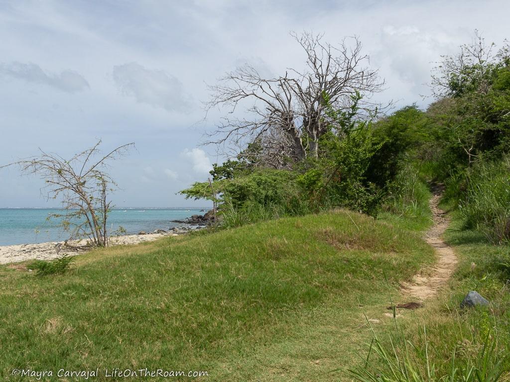 A trailhead next to the beach