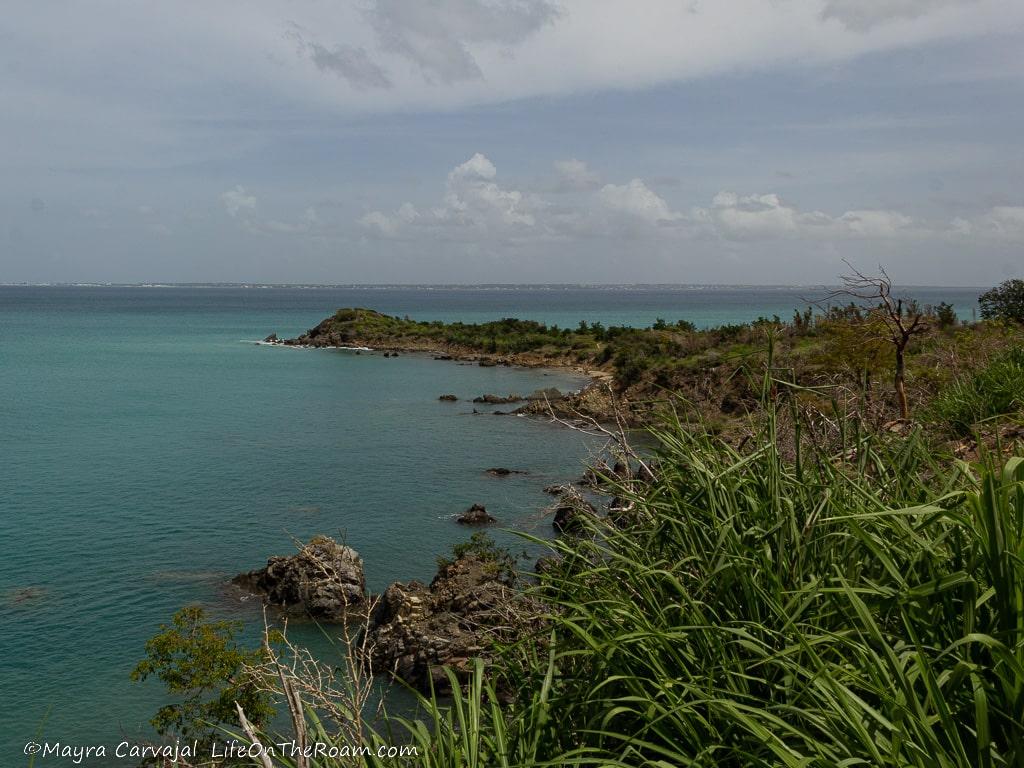 View of the coastline from a trail up in the cliff