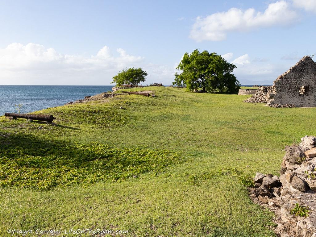 A grass field with remains of a fort and cannons on the floor