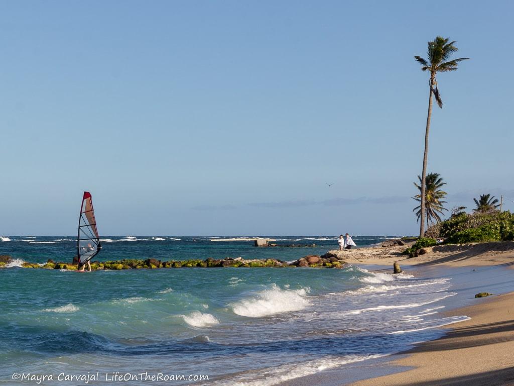 A wavy beach with a man doing windsurfing