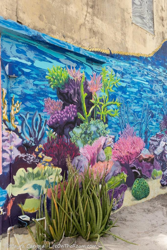 A mural with an underwater scene and a plan in front