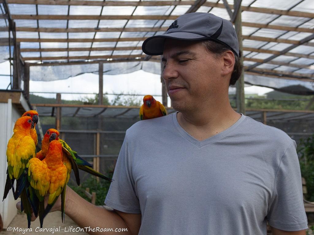 A man holding a cup that feeds colourful parakeets