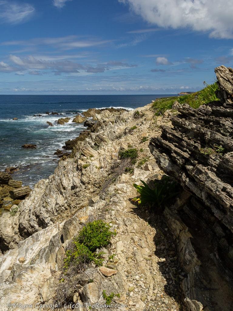 A narrow coastal trail with the sea on the left and the rocky coast on the right