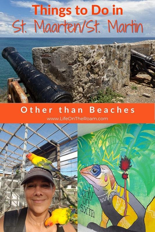 A collage of images with a fort with cannons,  a woman with parakeets on her head and a mural with a colourful iguana, and the text "Things to do in St.Maarten-St.Martin Other than beaches"