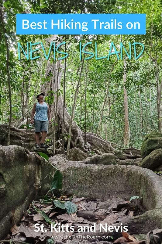 Mayra standing on a swirling tree root in a forest, with the text "Best Hiking Trails on Nevis Island, St. Kitts and Nevis"
